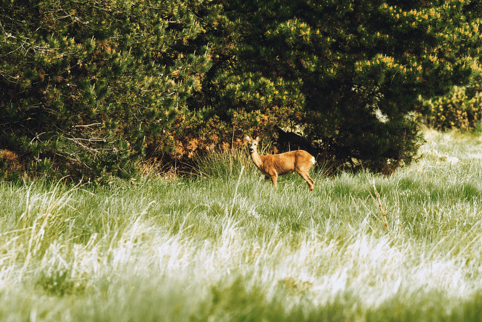 Gallery image 02aa0df7-45ac-43dd-83fd-35e44237b456