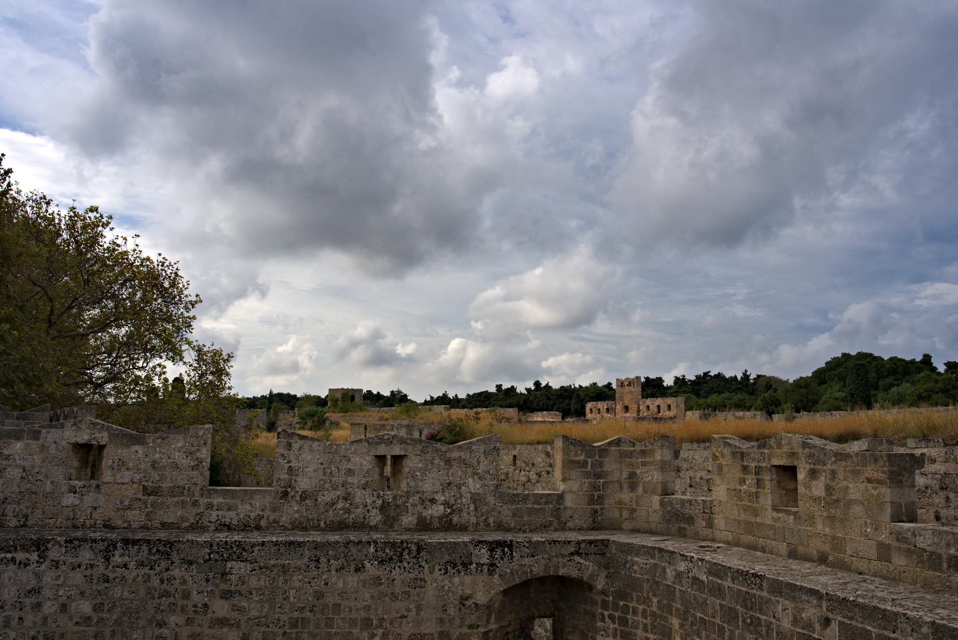 Gallery image 728661dd-9547-4062-bb0c-f66d451b0fe9