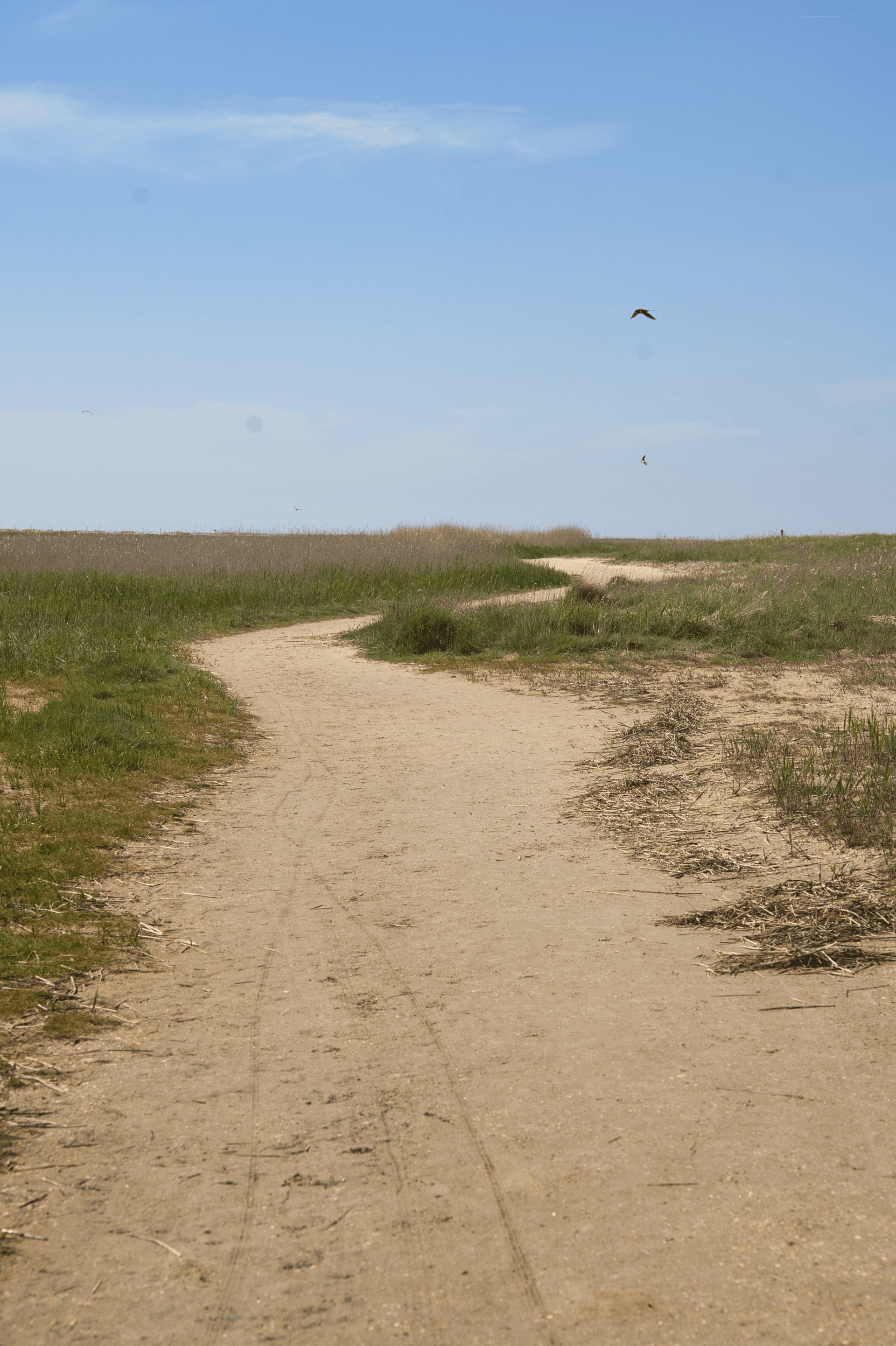 Gallery image d0cb18ca-ca86-4557-8d5b-c6332445a527